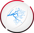 Renal Mesenteric Intervention